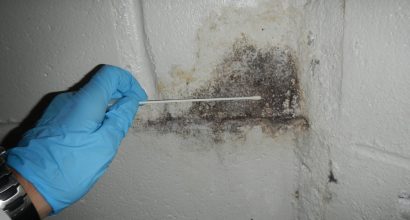 mold-inspection